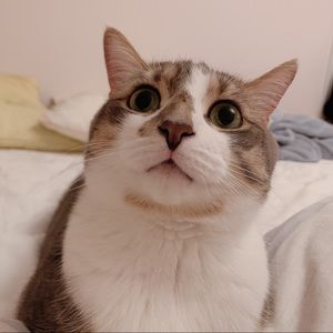 Meet your Posher, Jane